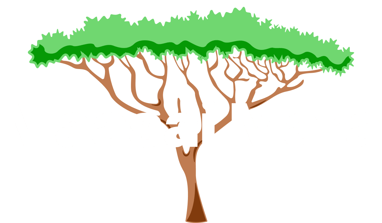 Safari in Masai Mara