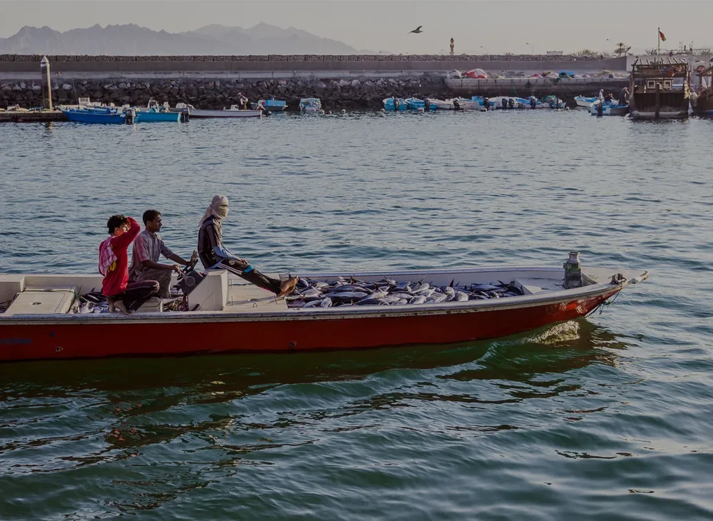 UAE desert and Musandam