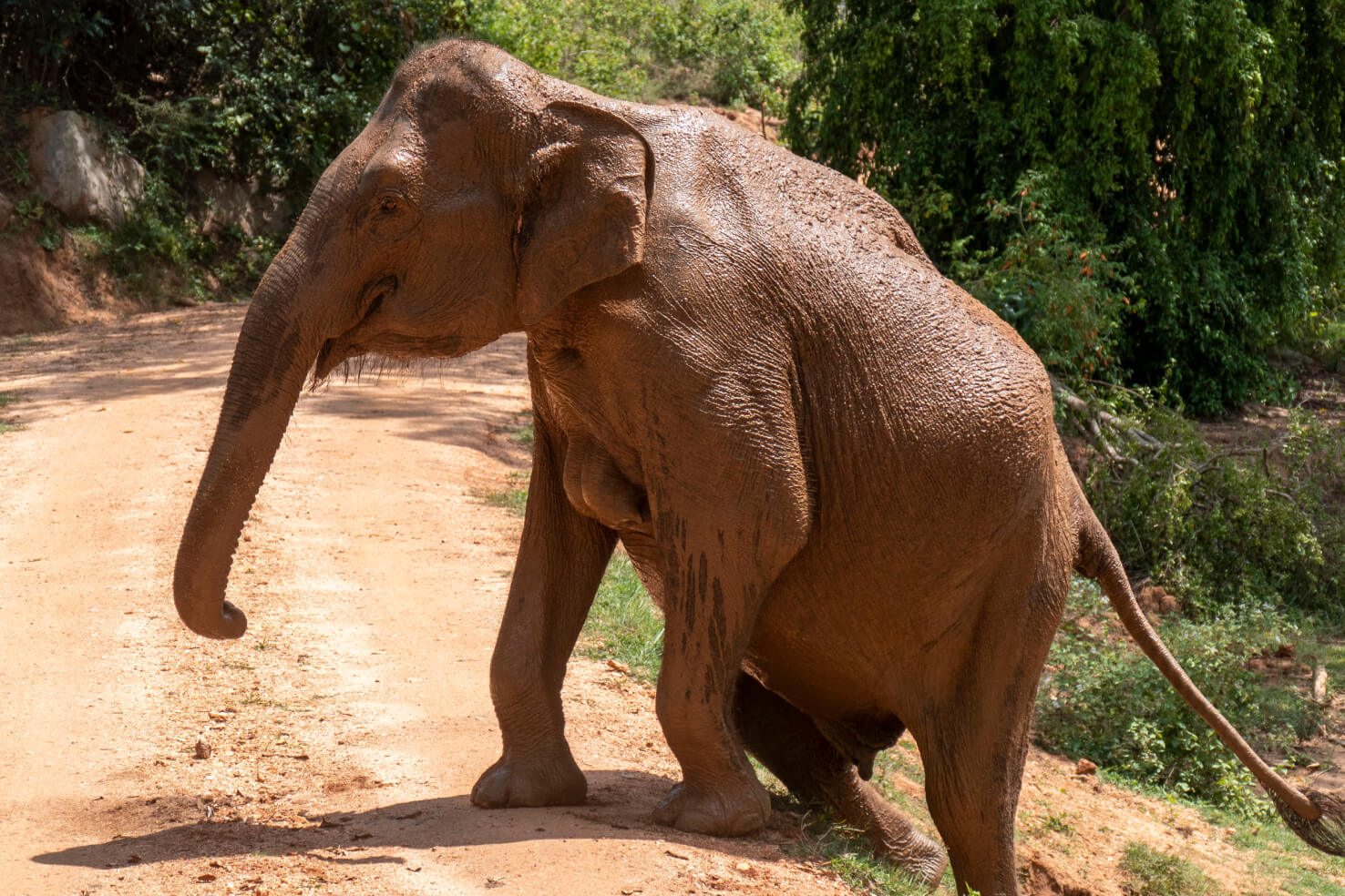 Udawalawe